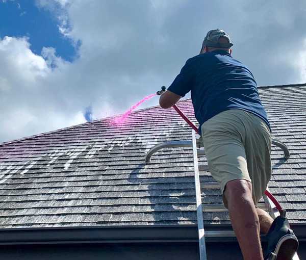 Roof cleaning